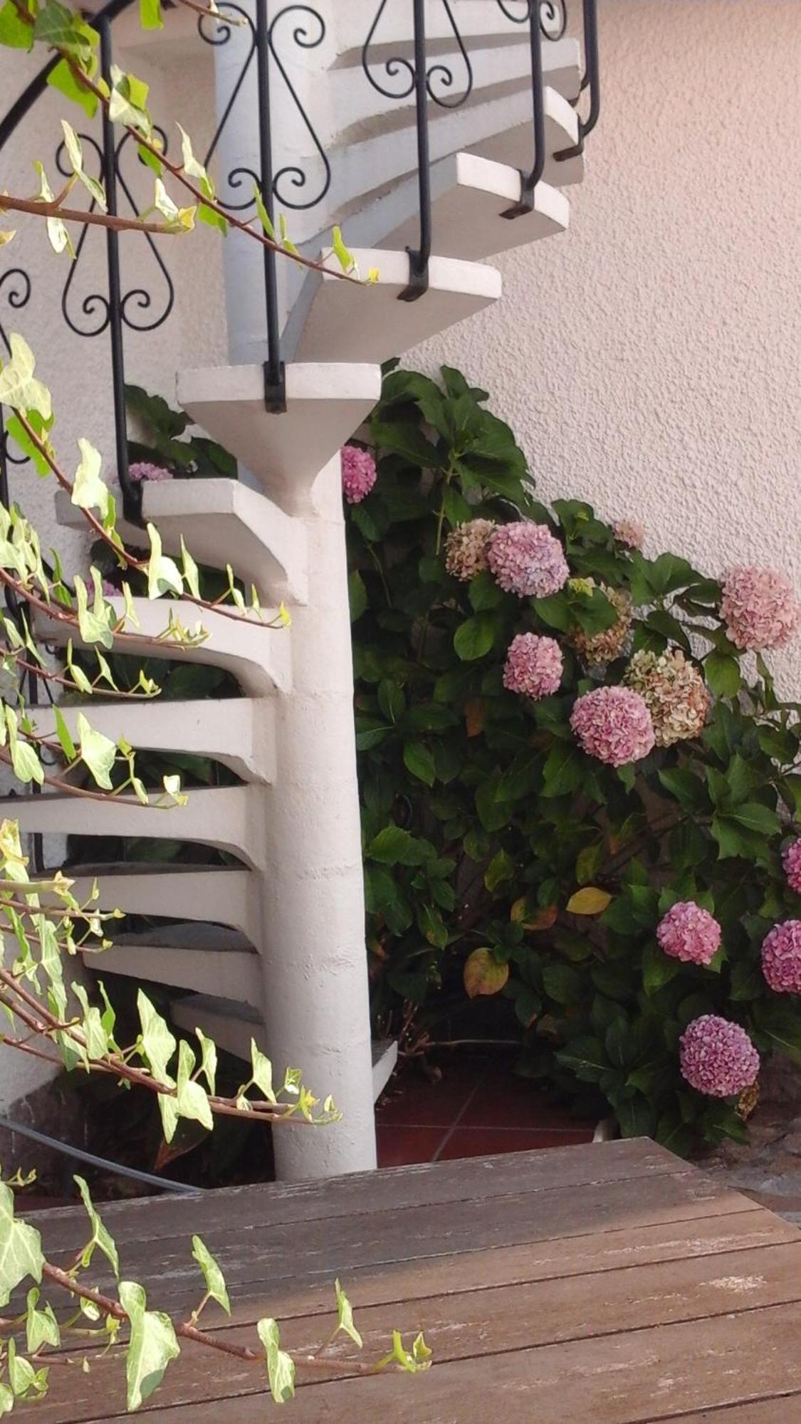 Estúdio Mateus Villa Areia Branca Exterior foto